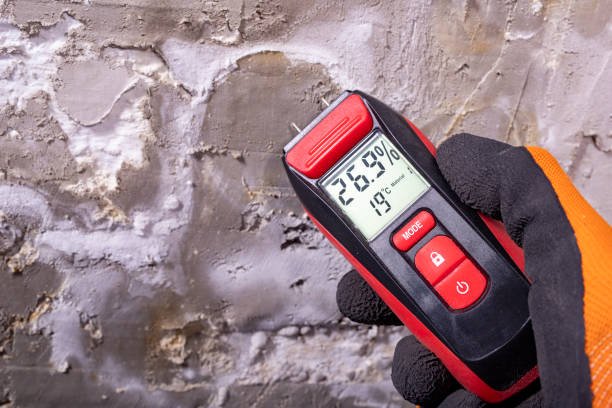 Best Attic Mold Removal  in Haysville, KS
